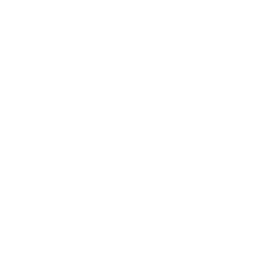 盛世启辰logo